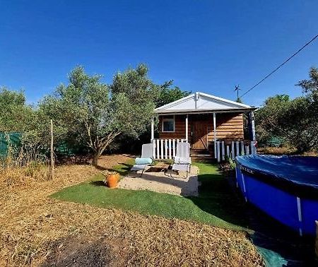 Un Chalet Dans Les Oliviers 3 Nuits Mini Nimes Exterior foto